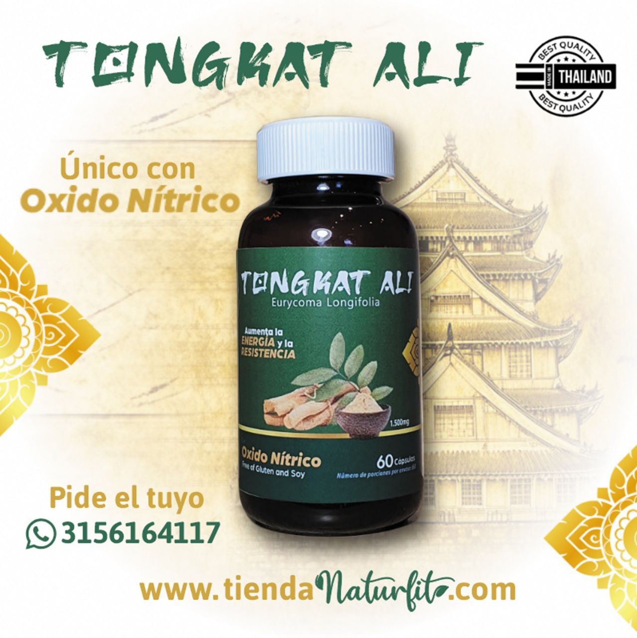 Tongkat Ali